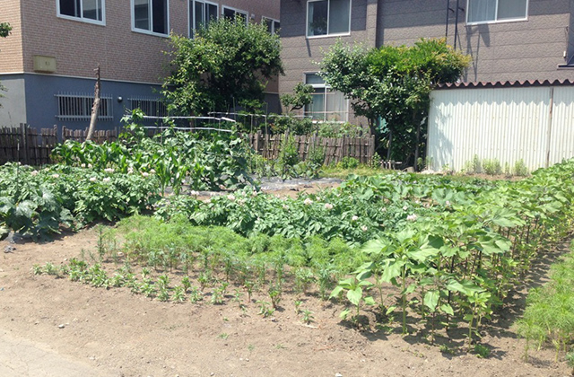 園芸実習場